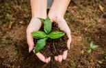 ISO 14001